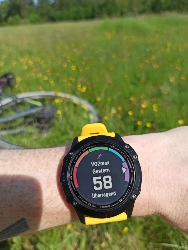 Garmin fenix 5 outlet vo2max